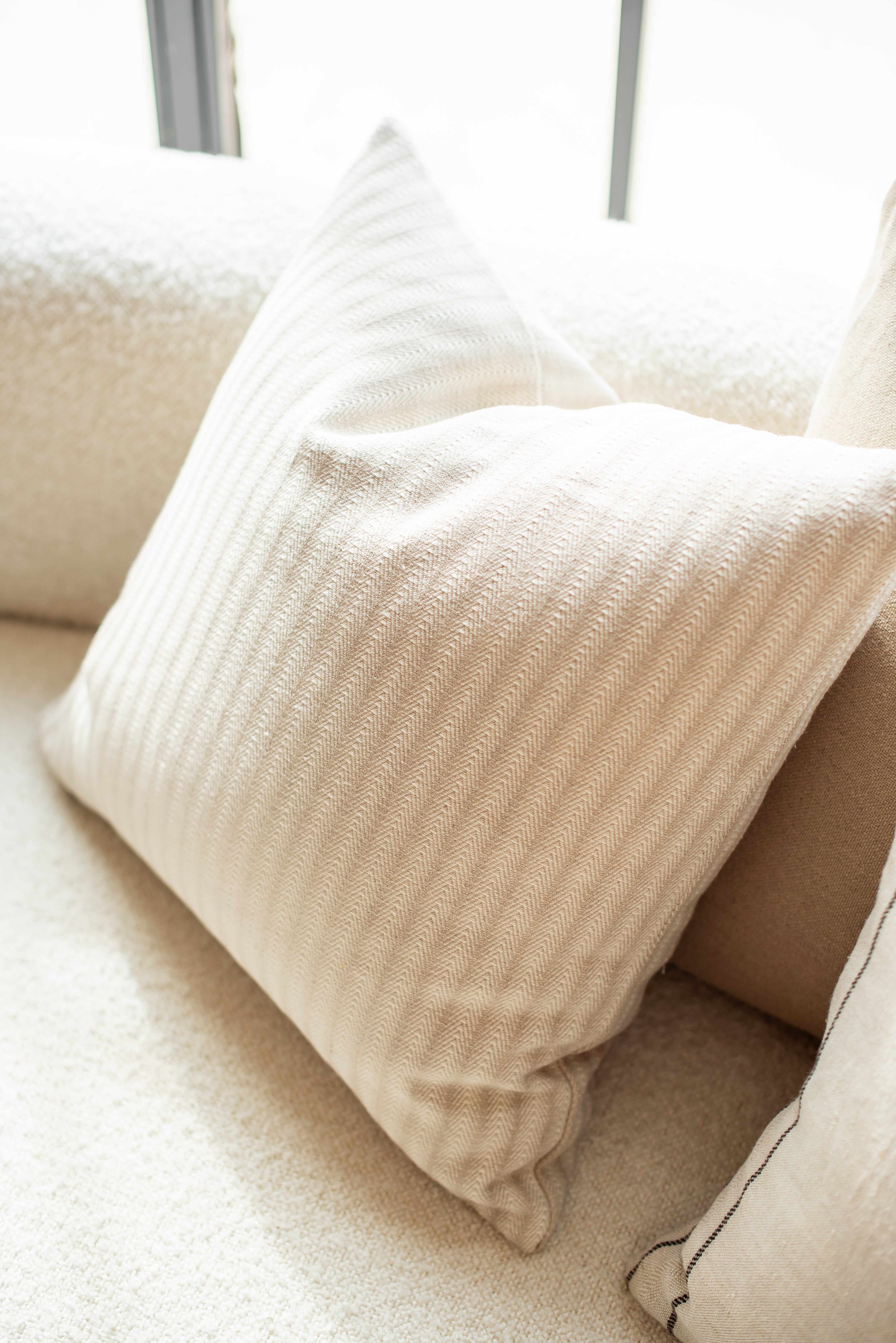 cojin-decorativo-espiga-beige