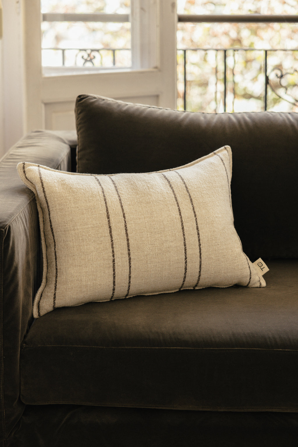 Cojín Raya Antracita con pestaña