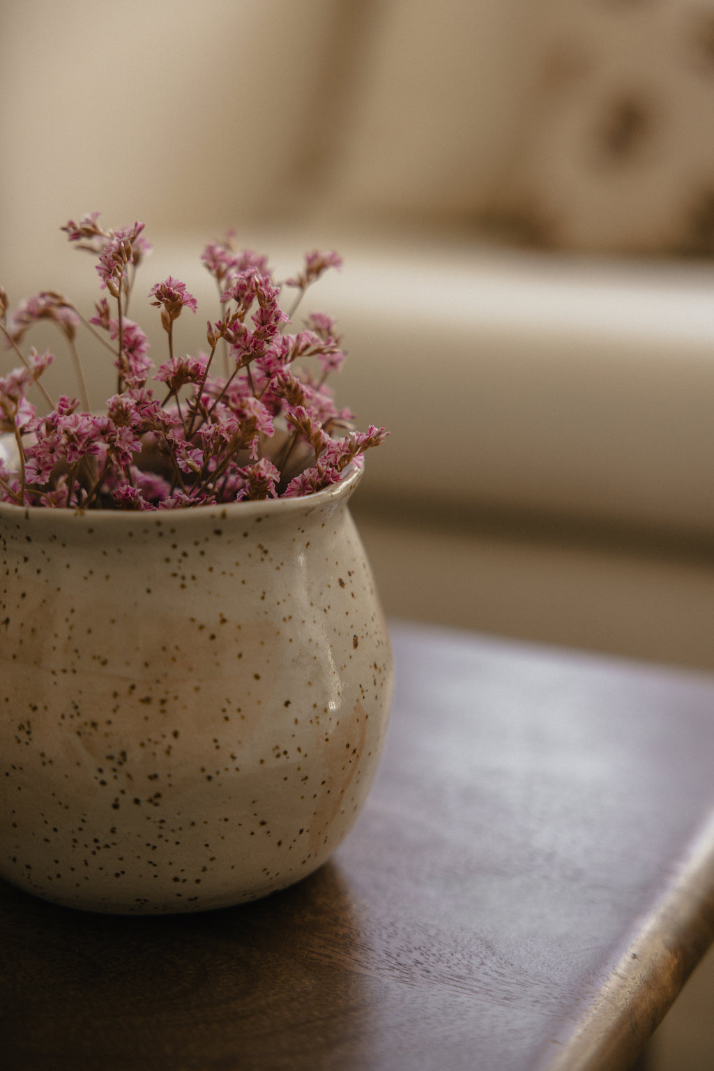 Vasija orgánica cerámica